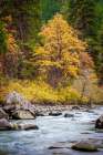 Autumn Across The River Art Print