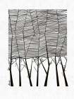Cypress Trees Art Print