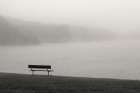 Melancholic Morning Art Print