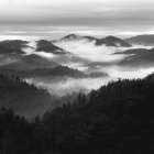Smoky Mountains After Rain Art Print