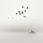 Windward No. 3 Art Print