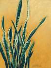 Tangled Sansevieria Art Print