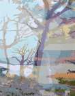 Landscape Obscura 25 B Modern Print