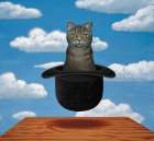 Magritte Cat Art Print