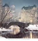 Twilight in Central Park Art Print