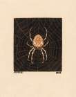 Spider in a Web, 1918 Art Print