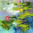 Pink Waterlily Art Print by Anne Doyle