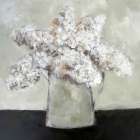 Annabelle Hydrangea Art Print