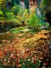 Fall Color and Creek Art Print