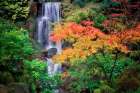 Fall Color With Waterfall Art Print