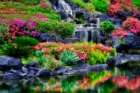 Waterfalls and Flower Garden Art Print