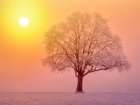 Lone Oak Tree Minimalist Print