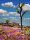 Joshua Trees and Verbena Art Print