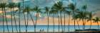Coastline with Palm Trees Coastal Print