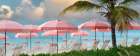 Pink Beach Umbrellas With Chairs Art Print