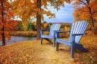 Autumn Splendor Art Print