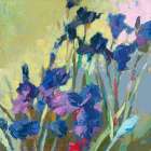Red Show Irises Art Print