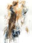 Face to Face 64 Art Print