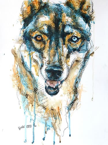 Jin Animals Print