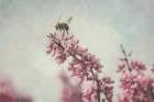 Flight of the Bumblebee Art Print