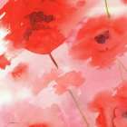 Red Poppies 1 Art Print