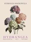 Hydrangea Art Print