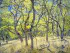 Ranch Road Through Oak Grove Art Print