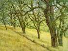 Deer Trail Through Oak Grove Art Print