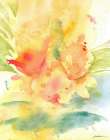 Sunlight Reflections Art Print