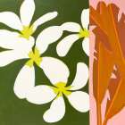 Island Plumeria Art Print by Kristen Guest
