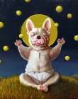 Puppy Dreams Art Print