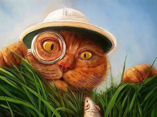 Explorer Art Print