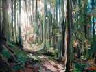 Forest Light Art Print