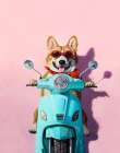 Roman Holiday Modern Print