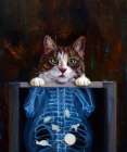 Cat Scan Art Print
