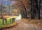 Autumn Drive I Art Print