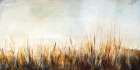 Grasses In The Breeze Art Print