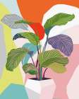 Exotic Plant Art Print