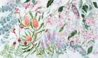 Banksias in Bloom Art Print
