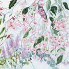 Gum Tree Blossom Art Print