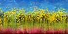 Fire Field Art Print