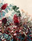 Banksia Vintage Art Print