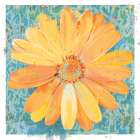 Urban Daisy Art Print