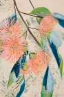 Flowering Pastels Art Print