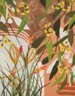 Yellow Gums Art Print