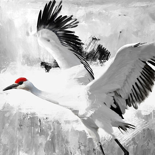 Feathering Art Print