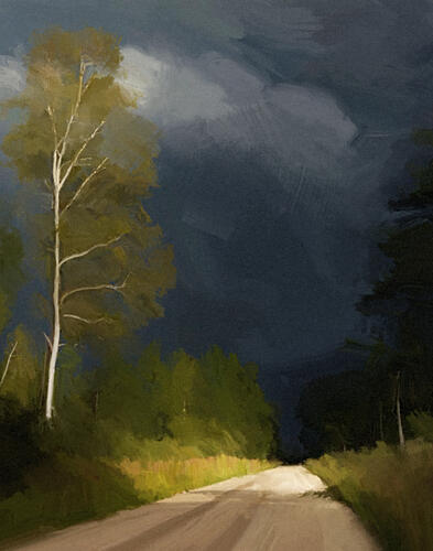 Where the Light Falls Gently Art Print by Iranzye