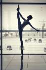 Ballet Dancer Silhouette Art Print