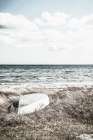 Coastal I Art Print