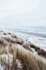 Coastal II Art Print